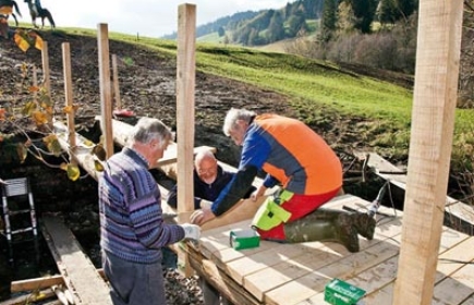 Gemeindienstprojekt 2011/12 im Rothenthurmer Hochmoor